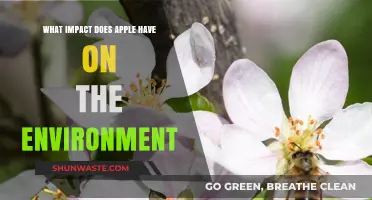Apple's Environmental Footprint: Sustainability Efforts and Global Impact Explored