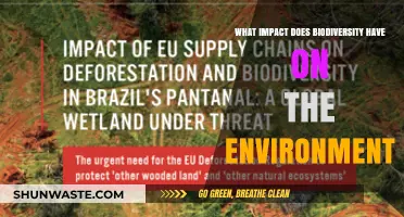 Biodiversity's Vital Role in Shaping and Sustaining Our Environment