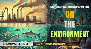 Biomagnification's Devastating Effects: How Toxins Threaten Ecosystems and Wildlife