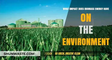 Biomass Energy's Environmental Impact: Benefits, Challenges, and Sustainability