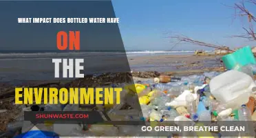 Bottled Water's Environmental Toll: Pollution, Waste, and Sustainability Challenges
