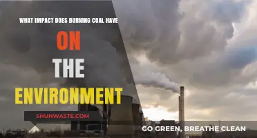 Burning Coal's Environmental Impact: Pollution, Climate Change, and Ecosystem Destruction