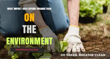 Organic Choices: How Your Purchases Shape the Environment's Future