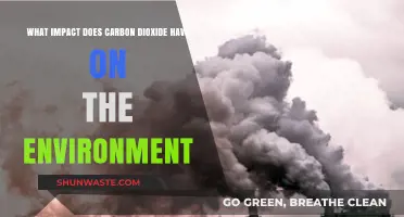 Carbon Dioxide's Environmental Impact: Climate Change and Ecosystem Disruption