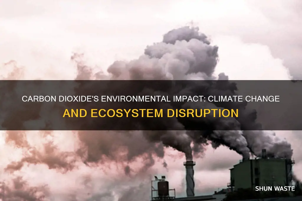 what impact does carbon dioxide have on the environment