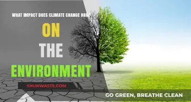 Climate Change's Devastating Effects on Our Environment: A Comprehensive Overview