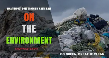 Clothing Waste Crisis: Environmental Impact and Sustainable Solutions Revealed