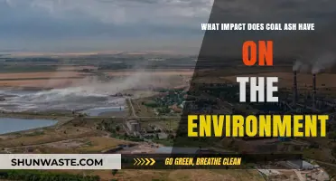 Coal Ash's Environmental Impact: Pollution, Health Risks, and Ecosystem Threats