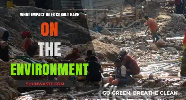 Cobalt's Environmental Impact: Uncovering Its Ecological Footprint and Sustainability Challenges