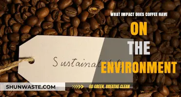 Coffee's Environmental Footprint: Exploring Its Impact on Our Planet