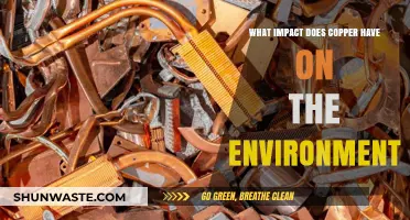 Copper's Environmental Impact: Benefits, Risks, and Sustainable Practices Explored