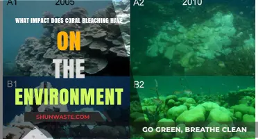 Coral Bleaching: Devastating Environmental Impacts and Urgent Conservation Needs