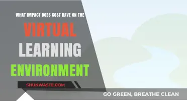 Cost's Role in Shaping Virtual Learning Environments: Challenges and Opportunities