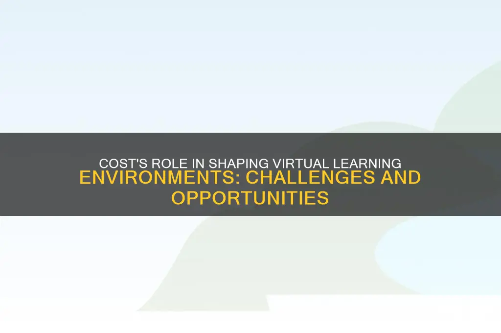 what impact does cost have on the virtual learning environment