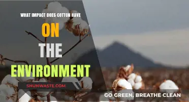 Cotton's Environmental Footprint: Sustainability Challenges and Solutions Explored
