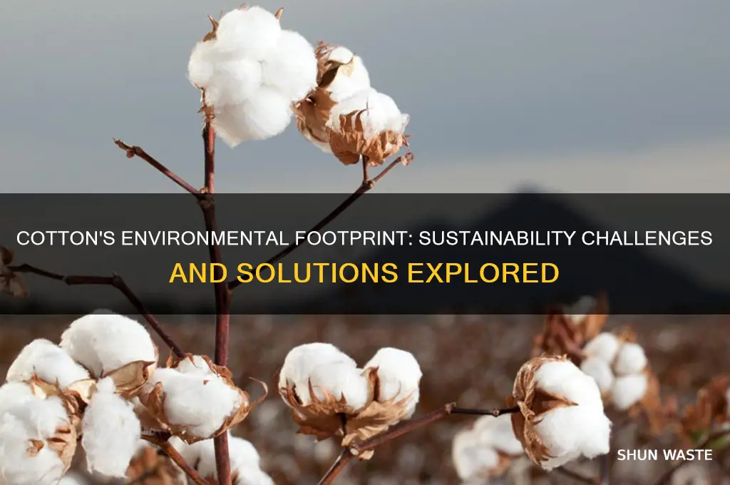 what impact does cotton have on the environment