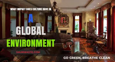 Cultural Influence: Shaping Global Interactions and Business Strategies Worldwide