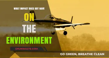 DDT's Environmental Impact: Uncovering Its Long-Lasting Ecological Consequences