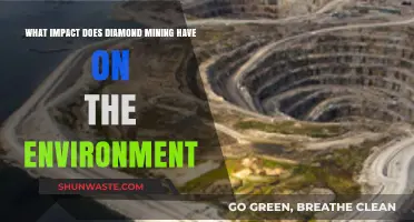 Diamond Mining's Environmental Impact: Destruction, Pollution, and Ecosystem Disruption