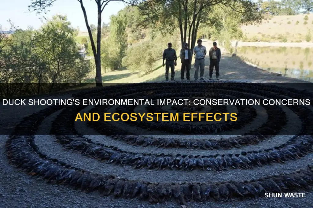 Stunning Environmental Effects On Duck Behavior image