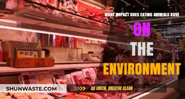 Meat Consumption's Environmental Toll: Climate, Land, and Biodiversity at Stake