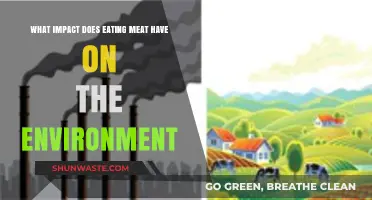 Meat's Environmental Footprint: Climate, Land, and Resource Implications Explored