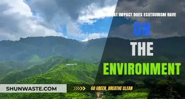 Ecotourism's Environmental Impact: Balancing Conservation and Sustainable Travel