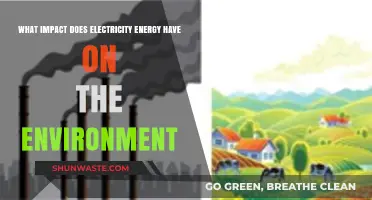 Electricity's Environmental Impact: Balancing Power Needs and Planetary Health