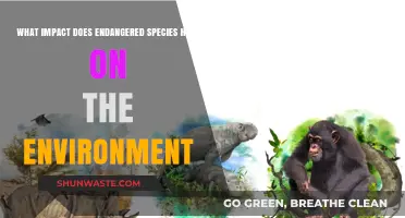 Endangered Species: Their Vital Role in Ecosystem Balance and Health