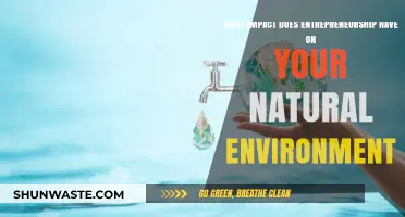 Entrepreneurship's Environmental Footprint: Balancing Innovation and Nature's Sustainability