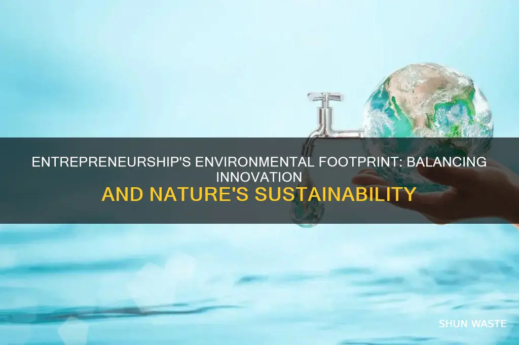 what impact does entrepreneurship have on your natural environment