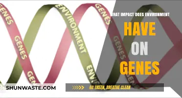 How Environmental Factors Shape Our Genetic Expression and Health Outcomes