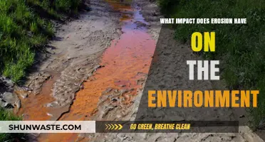 Erosion's Environmental Impact: Land Loss, Habitat Destruction, and Ecosystem Disruption