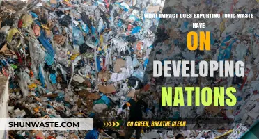 Toxic Exports: Devastating Impacts on Developing Nations' Health and Environment