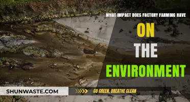 Factory Farming's Environmental Toll: Pollution, Deforestation, and Climate Crisis