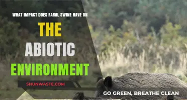 Faral Swine's Abiotic Impact: Environmental Consequences and Ecosystem Disruption