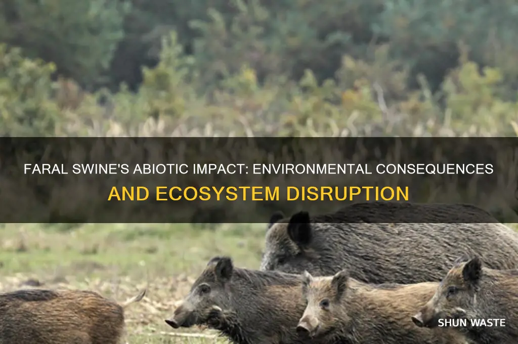 what impact does faral swine have on the abiotic environment