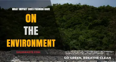 Fashion's Environmental Footprint: Unraveling the Impact of Style on Our Planet