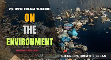 Fast Fashion's Environmental Toll: Pollution, Waste, and Climate Crisis