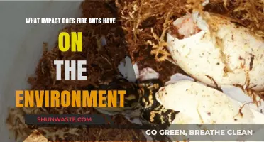 Fire Ants' Environmental Impact: Disruption, Damage, and Ecosystem Consequences