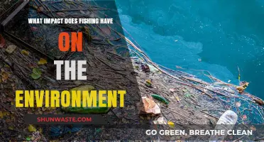Fishing's Environmental Impact: Ecosystems, Sustainability, and Conservation Challenges