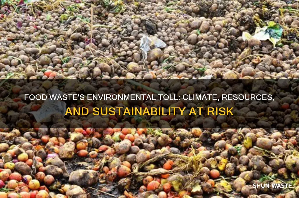 what impact does food waste have on the environment