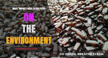 Glass's Environmental Impact: Sustainability, Recycling, and Ecological Footprint Explored