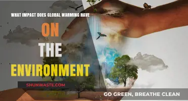 Global Warming's Devastating Environmental Impact: Consequences and Urgent Solutions