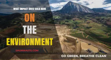 Gold's Environmental Impact: Extraction, Pollution, and Ecosystem Consequences Explored
