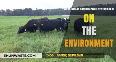 Grazing Livestock: Environmental Impacts and Sustainable Management Strategies