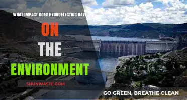 Hydroelectric Power's Environmental Impact: Benefits, Challenges, and Sustainability