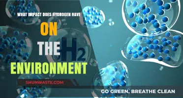 Hydrogen's Environmental Impact: Clean Energy Potential and Ecological Challenges