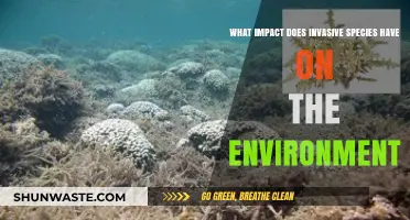Invasive Species: Devastating Environmental Impacts and Ecosystem Disruption Explained
