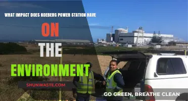 Koeberg Power Station's Environmental Impact: Challenges and Sustainability Concerns